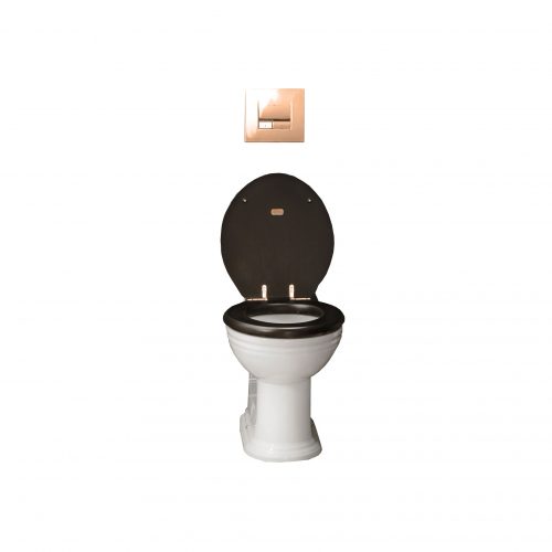 West One Bathrooms Online – Thomas Crapper Venerable Back To Wall Toilet Set PB
