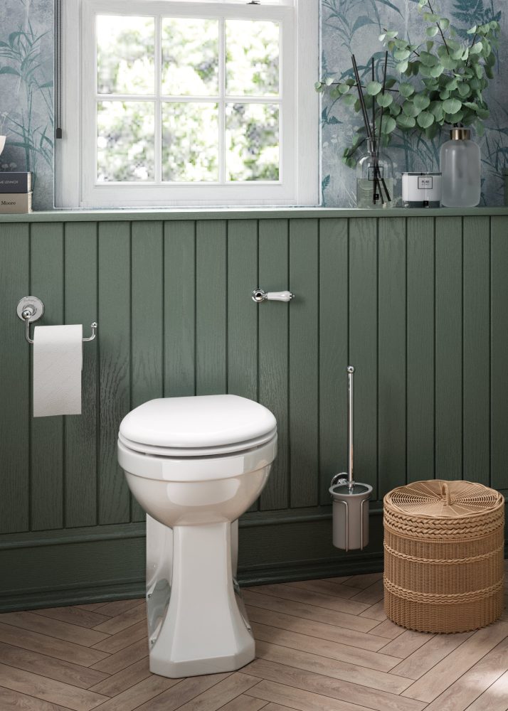 Back to Wall Toilets